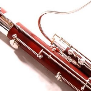 Meet your Posher, Paul